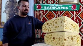 Kars'ın Tescilli Gravyer Peyniri Tezgahları Süslemeye Başladı