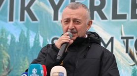 Kocaeli'de Kızıl Geyik Yerleştirme Projesi Başladı