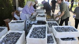 KTÜ'ye Hoş Geldin Etkinliği: 3 Ton Hamsi İkramı