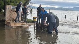 Muğla'da Sağanak Yağışlar Hayatı Felç Etti