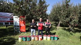 Muş'ta Elma Hasadı Rekor Gelir Beklentisi