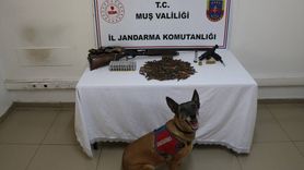 Muş'ta Tezek Altında Saklanan Silah ve Mühimmat Ele Geçirildi