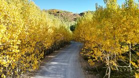 Nemrut Krater Gölü Sonbaharda Büyüleyici Renklerle Dolduruyor