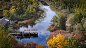 Sakarya'nın Acarlar Longozu ve Büyük Melen Çayı Sonbahar Renkleriyle Büyülüyor