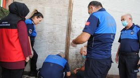 Şanlıurfa'da Bozulmuş Et Denetimi: 1 Ton Ele Geçirildi