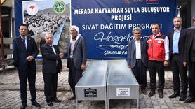 Şanlıurfa'da Hayvan Yetiştiricilerine Sıvat Desteği