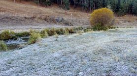 Sarıkamış'ta Kırağı Etkisi: Araçlar ve Bitkiler Beyaza Büründü