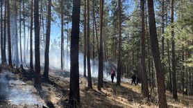 Sarıkamış'ta Orman Yangını: 1 Hektar Alan Zarar Gördü