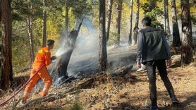Sarıkamış'ta Orman Yangını Kontrol Altına Alındı