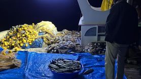 Sinop'ta Balıkçılardan Rekor Palamut Avı