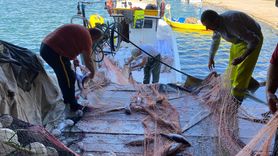 Sinop'ta İlk Palamut Avı