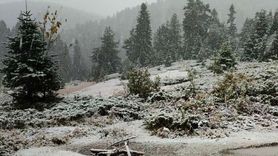 Sinop'ta Mevsimin İlk Karı Yağdı