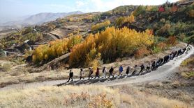 Sonbahar Renkleriyle Doğa Yürüyüşü