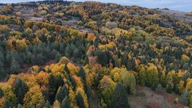 Sonbaharın Renkleri Sinop'ta Hayran Bırakıyor