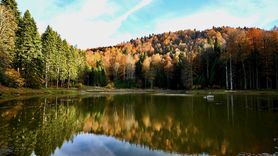 Sonbaharın Renkli Manzaraları: Düzce'nin Odayeri Yaylası ve Torkul Göleti