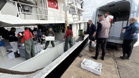 Tekirdağ'da İstavrit Bolluğu Balıkçıları Sevindiriyor