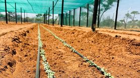 TİKA'nın Namibya'daki Kuraklıkla Mücadele Projesi