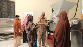 TİKA, Somali'deki Manyok Üreticilerine Ekipman Desteği Sağladı