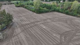 Trakya'da Yağışlar Çiftçileri Sevindirdi