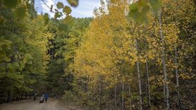 Tunceli'nin Doğasında Sonbahar Renkleri