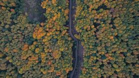 Uludağ'da Sonbahar Renklerinin Güzelliği