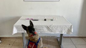 Van'da Uyuşturucu Operasyonu: 380 Sentetik Hap Ele Geçirildi