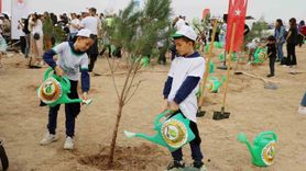 Adana'da 11 Kasım'da 840 bin fidan toprakla buluştu