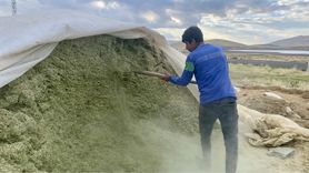 Ağrı'da besicilerin kış hazırlıkları hızlandı