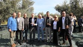 Ahmet Çetin: Zeytin Ağacı Binlerce Yıldır Topraklarımızın Mirası