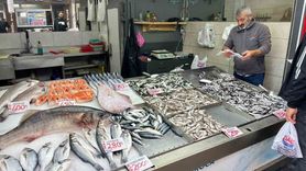 Akçakoca’da 7,5 kg levrek ve 2,5 kg kalkan tezgahta ilgi çekti