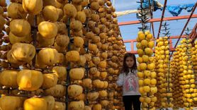 Alaşehir'de İlk Cennet Hurması Festivali Kavaklıdere Mahallesi'nde