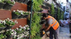 Antalya'da 4 milyon kışlık çiçek toprağa kavuşuyor