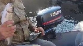 Arapgir'de amatör balıkçının kediyle paylaştığı balık gülümsetti