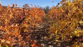 Arapgir'de Sonbaharın Kartpostallık Renkleri