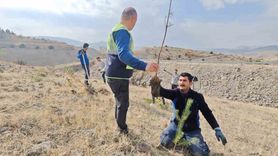 Aras Elektrik 11 Kasım’da Sorumluluk Bölgesinde Fidan Dikti