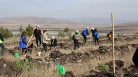 Ardahan'da Milli Ağaçlandırma Günü'nde fidan dikimi
