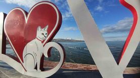 Artos Dağı ve Karabet Geçidi Beyaza Büründü