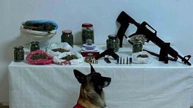 Artvin'de Uyuşturucu Operasyonu