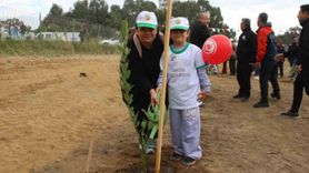 Aydın'da 7 bin fidanla yeşillendirme seferberliği