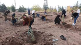 Barış Ormanında Kadınlar İçin Fidan Dikimi — 25 Kasım