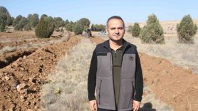 Beyşehir’de 11 bin fidan 11 Kasım’da Avdancık Mahallesi’nde toprakla buluşacak