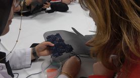 Bingöl gençlik merkezleri 2025'te 292 bin gence ulaştı