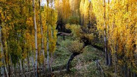 Bitlis'te Sonbaharın Kartpostallık Renkleri