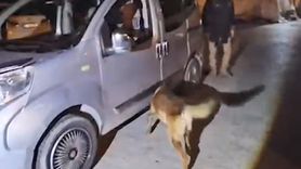 Bitlis'te Uyuşturucu Operasyonu: 1 Tutuklama