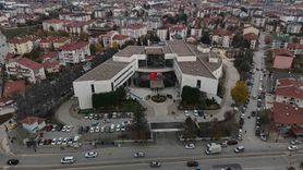 Bolu'da 'Deli Dana' Uyarısı: Veterinerden Önemli İkaz