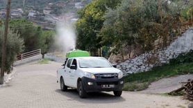 Bozdoğan’da Karasinekle Mücadele Sürüyor