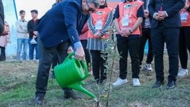 BŞEÜ kampüsüne 150 zeytin fidanı dikildi