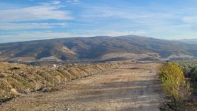 Buharkent'te 2. Etap İlek Bahçesi için toprak analizi yapıldı