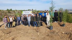 Buldan'da Peygamberimiz Anısına Hatıra Ormanı Oluşturuldu