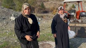 Bursa’da 70’lik iki kadın kilometrelerce yürüyüp melki mantarı satarak ev ekonomisine katkı sağlıyor